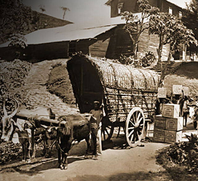 A historical photograph of a tea cart outside an early Ceylon tea factory