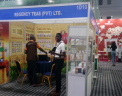 IMAG1109